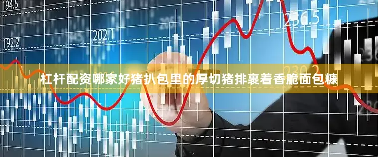 杠杆配资哪家好猪扒包里的厚切猪排裹着香脆面包糠